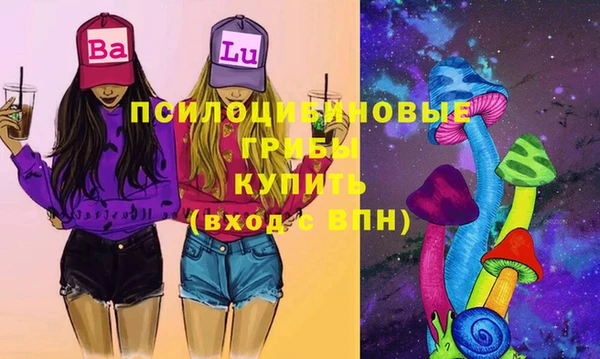 ешки Алзамай