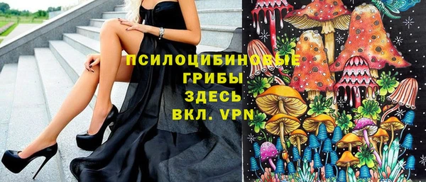 мет Абаза