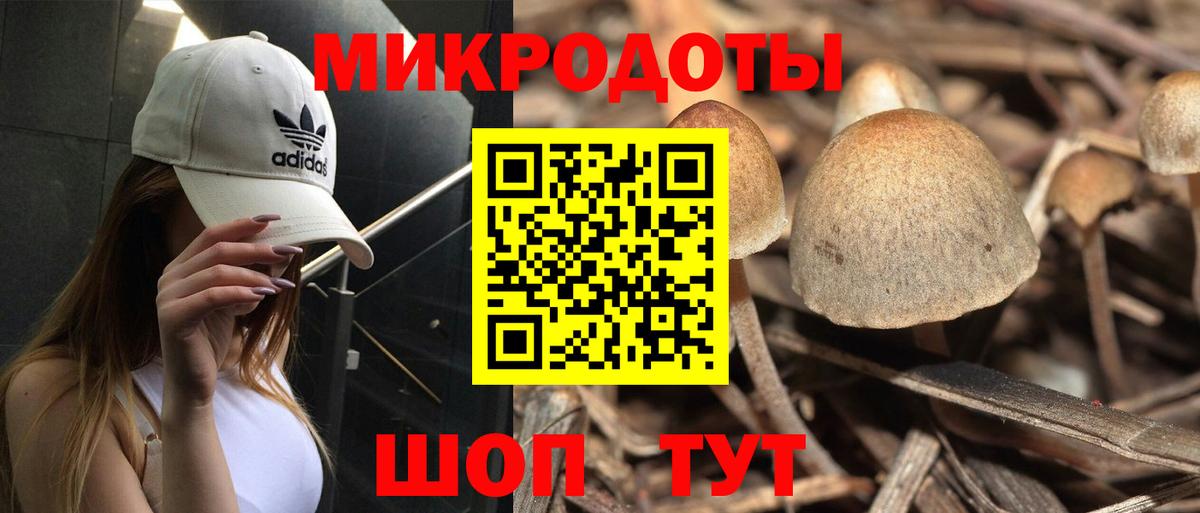 Ярославль  Галлюциногенные грибы мухоморы  Галлюциногенные грибы мухоморы  Вход с VPN 