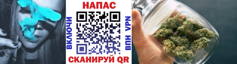 Бошки Шишки планчик Ярославль